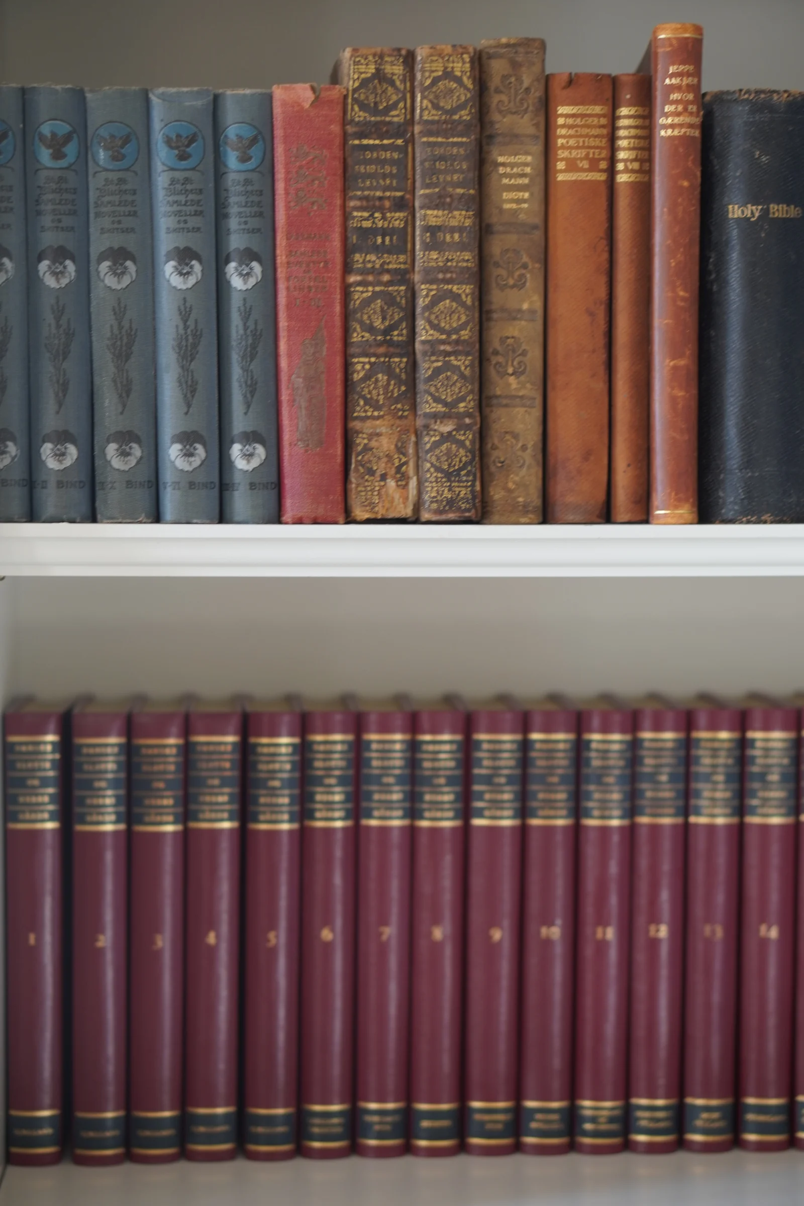 Alte ledergebundene Bücher in den Regalen der Bibliothek von Gut Agerup