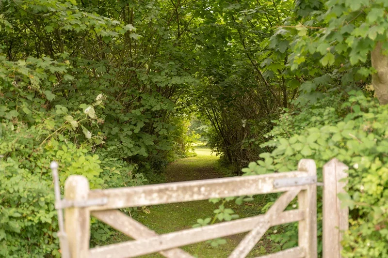 Trælåge ved indgangen til skovstien på Agerup Gods, grøn løvtunnel