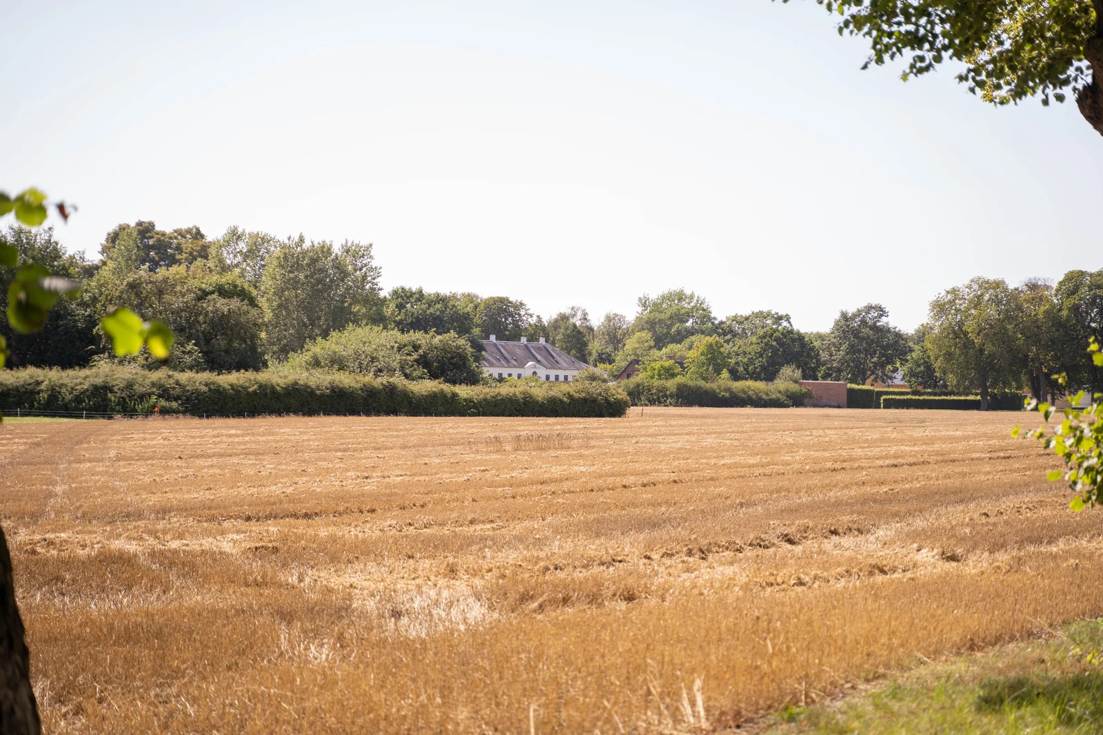 Ein abgeerntetes Kornfeld mit dem Herrenhaus von Gut Agerup in der Ferne