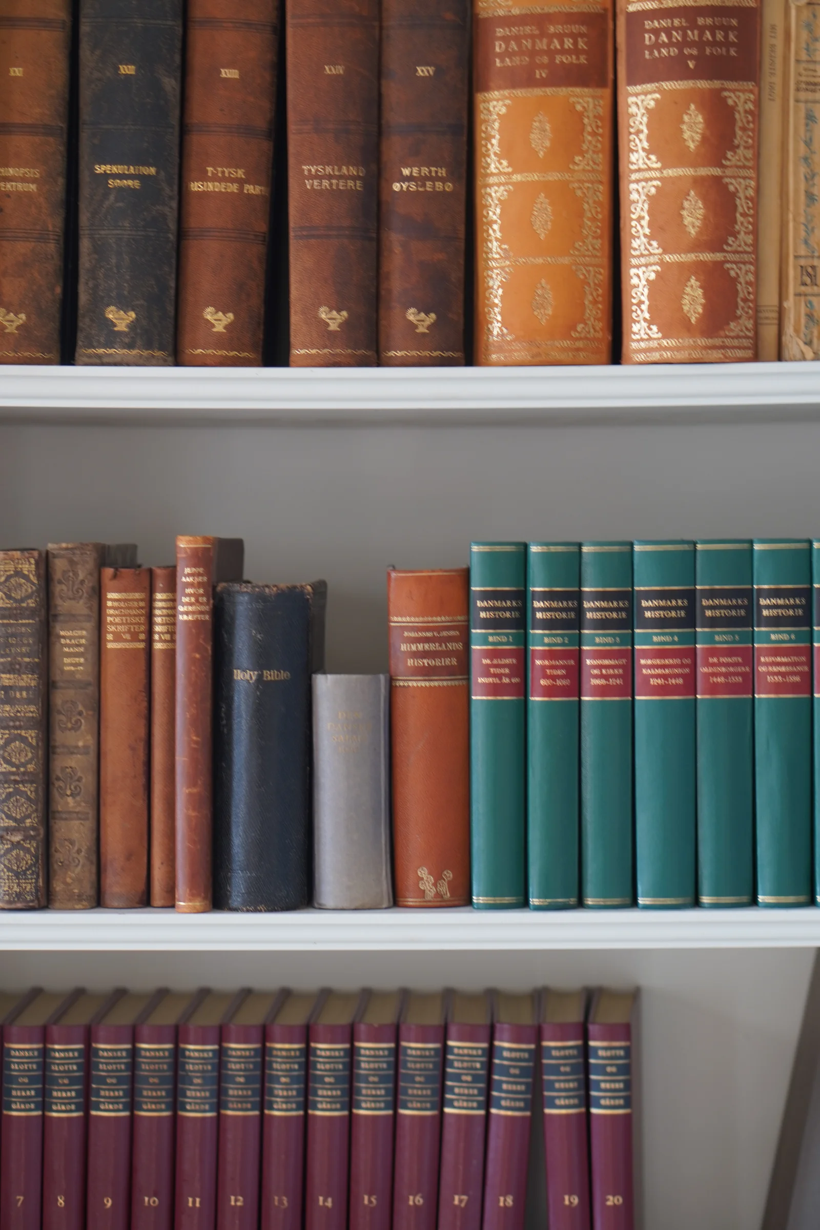 Buchrücken in Rot, Grün und Gold in den Regalen der Bibliothek von Gut Agerup