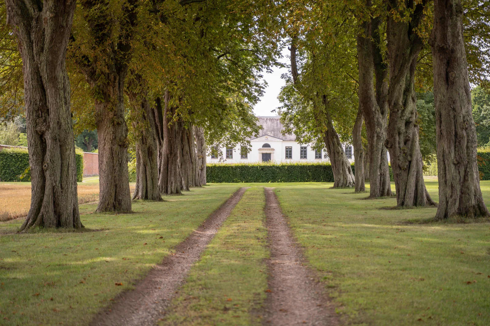 Die Lindenallee von Gut Agerup mit dem Herrenhaus am Ende